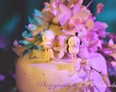 Love birds wedding cake toppers - Personalized bride groom custom surgeon music computer