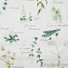 Reserved for foiplus -Japanese Linen Cotton Blended Fabric, Love Of Nature-Natural Green Story (Fat Quarter 20x27 inches)