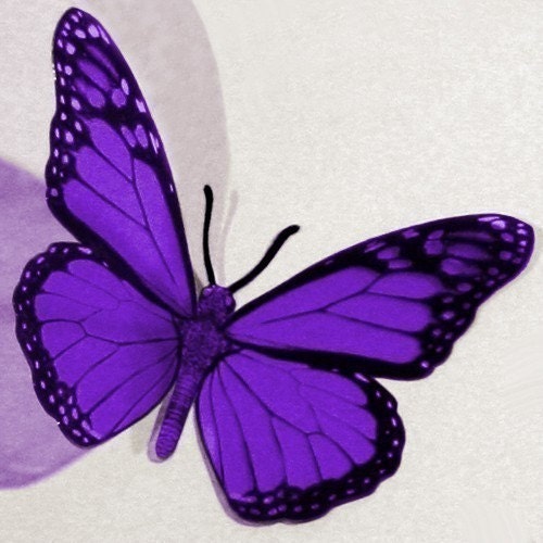 12x 3D BUTTERFLIES -- AQUA