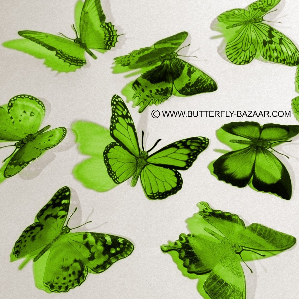3D Butterflies in LIME GREEN 12x
