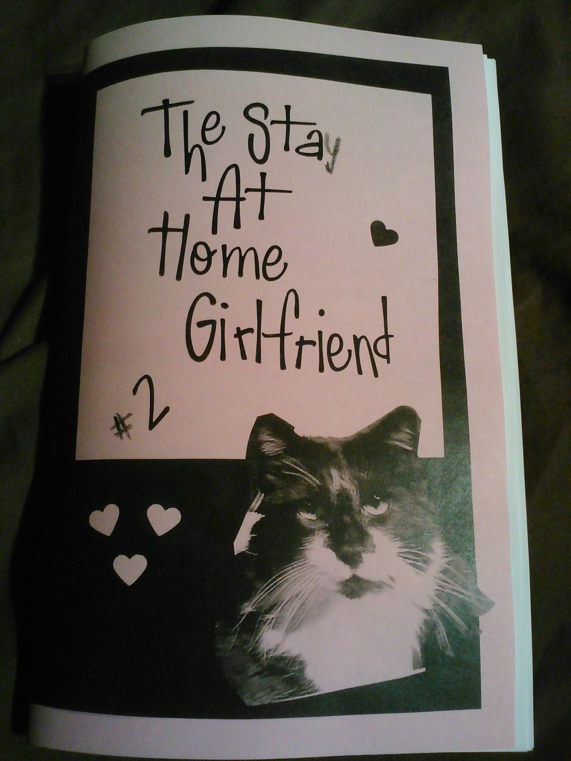 The Stay At Home Girlfriend issue 2