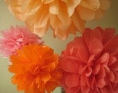 9 Tissue Paper Pom Poms Decoration Holiday Party - Outdoor Picnic DIY Kit Il_170x135