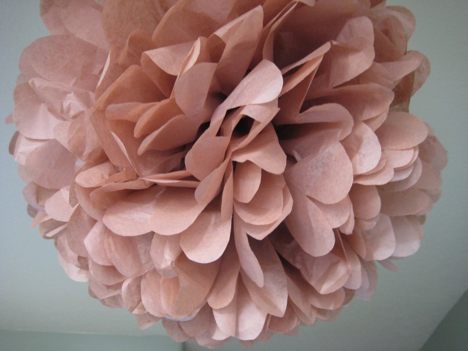 Cinnamon - 1 Large Tissue Pom Kit - As seen on Portlandia Season 2 Il_570xn