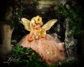 Tutu Dress for weddings, photos, princess, fairy, costume, dressup,birthday any occasion