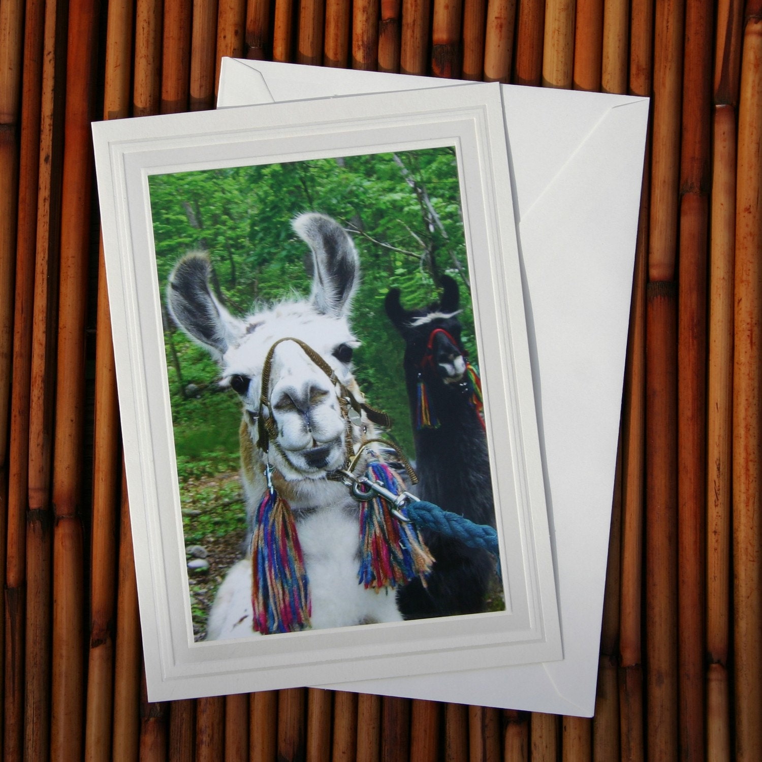 Hi There, Llama Photo Greeting Card, Blank