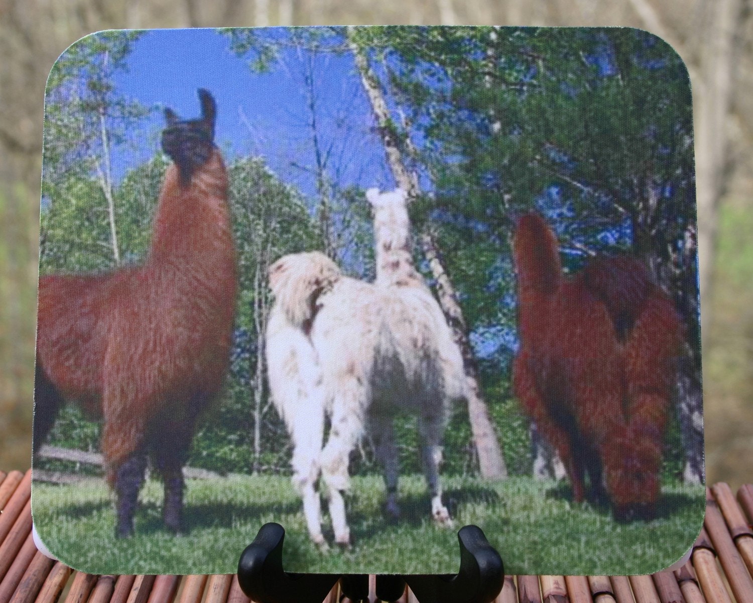 No Butts About It, Llama Photo Mouse Pad