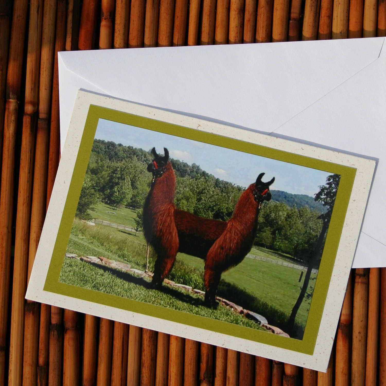 Pushmepullyou Llama Photo Greeting Card, Blank