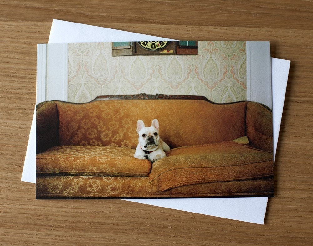 Angus - French Bulldog, Single Dog Portrait Notecard