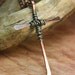 Hammered Copper Cross Wire Wrapped with Silver Pendant and Gemstone Dangle