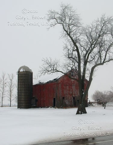 Tree and Barn - Fine Art Photo - 8 x 10 approximately