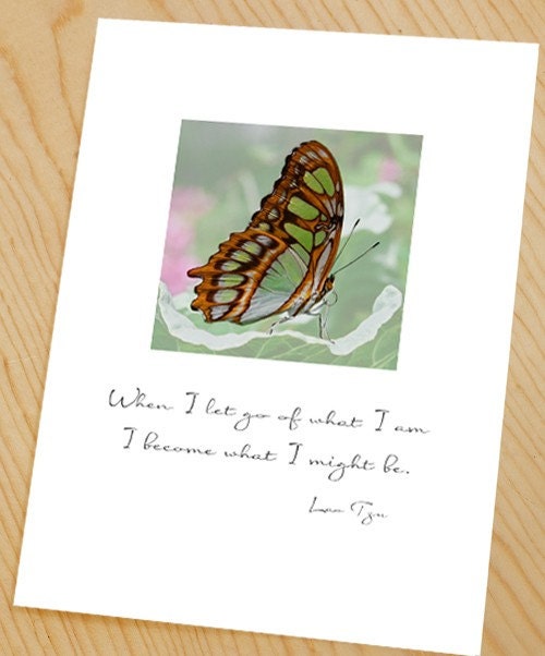 A butterfly's life photo note card