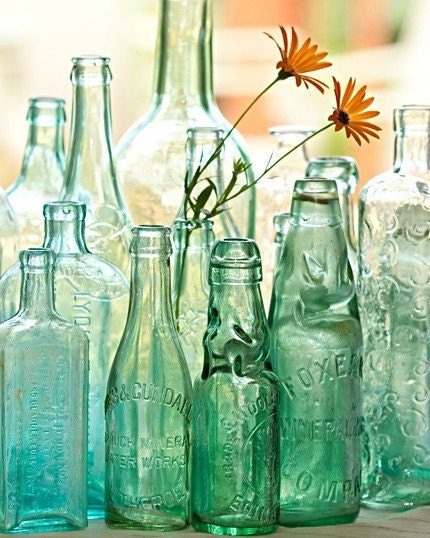 Glass Reflections- flowers in bottle fine art photo