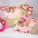 Pink Kleo Project Bag Set
