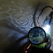 Professor Alexander's Botanical Vasculum - Steamed 300 watt Moss Terrarium