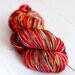 Superwash Merino Sock Yarn 'burning down the house'