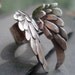 blackbird... the ring