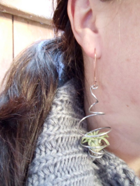Air Plant Earrings