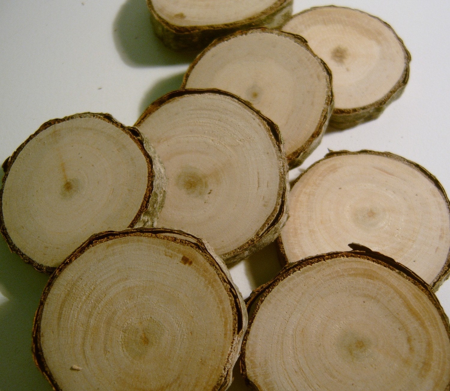 Wild Cherry Wood Tree Branch Slices 1.5 inch 8 by ChangelingSupply