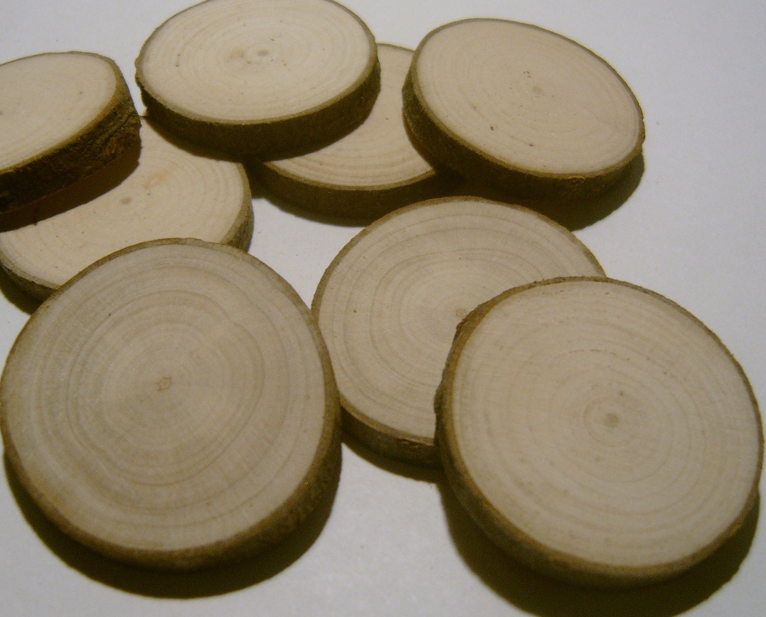 30 Blank Tree Branch Slices 2 inch Maple