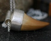 Mososaur Fossil Tooth in Sterling Silver Necklace- Medium Tooth, Custom Made