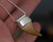 Mososaur Fossil Tooth in Sterling Silver Necklace- Large Tooth, Custom Made