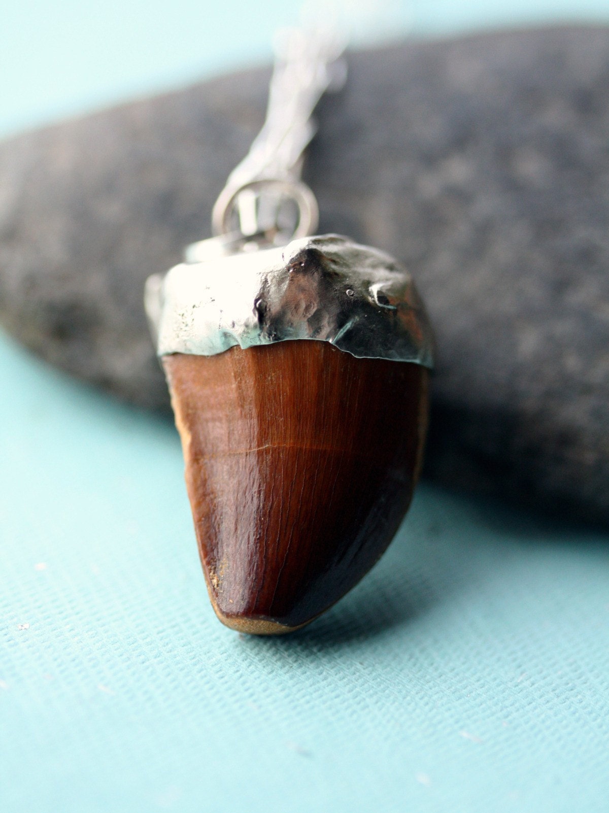 Fossilized Mosasaur Tooth in Reticulated Silver Necklace- Reserved