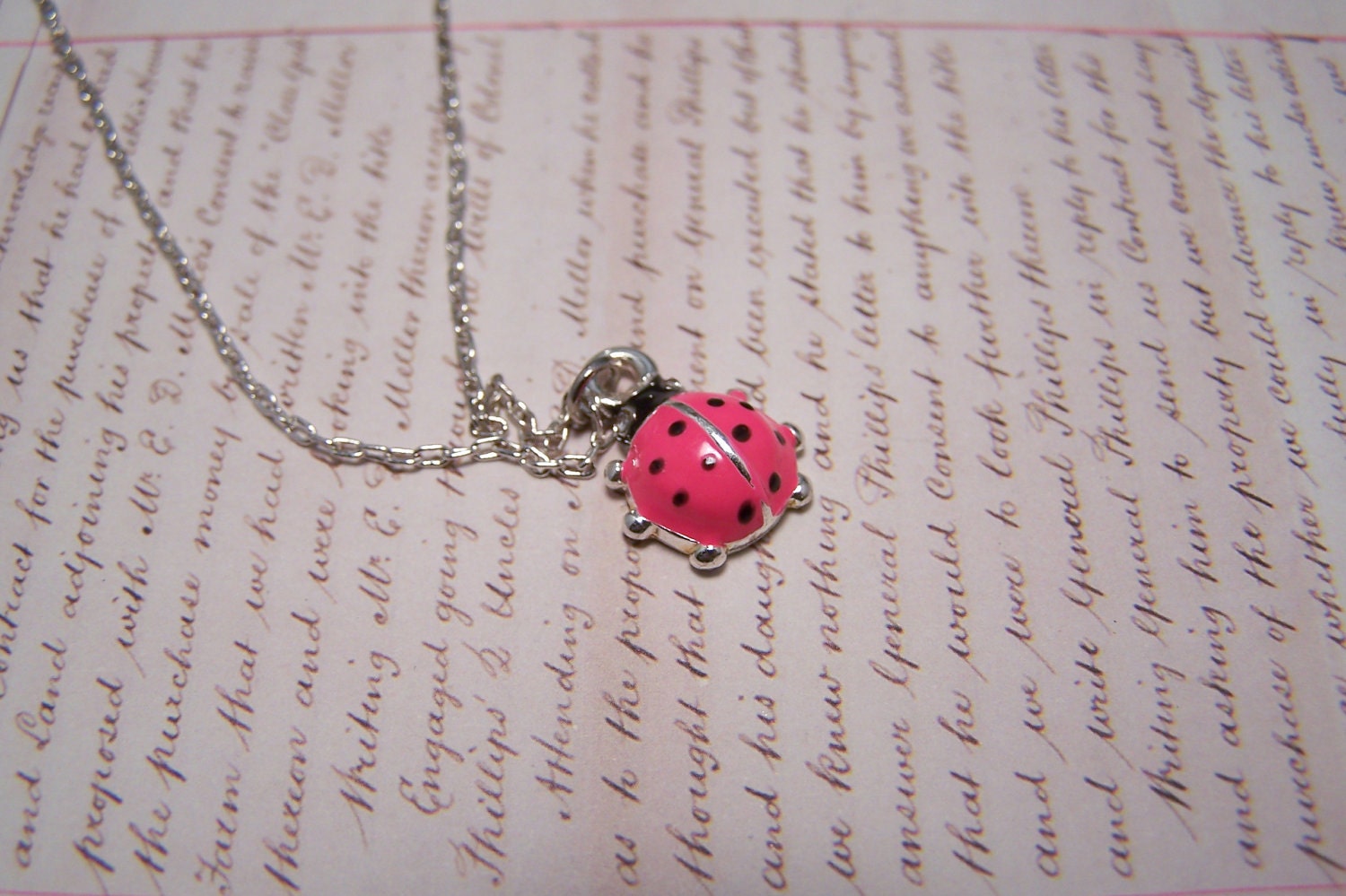 Lucky Ladybug Necklace Hot Pink... Includes quote