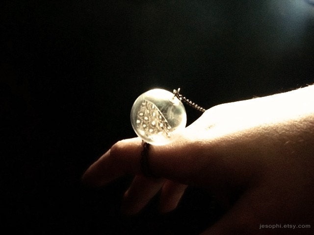Bubble dream