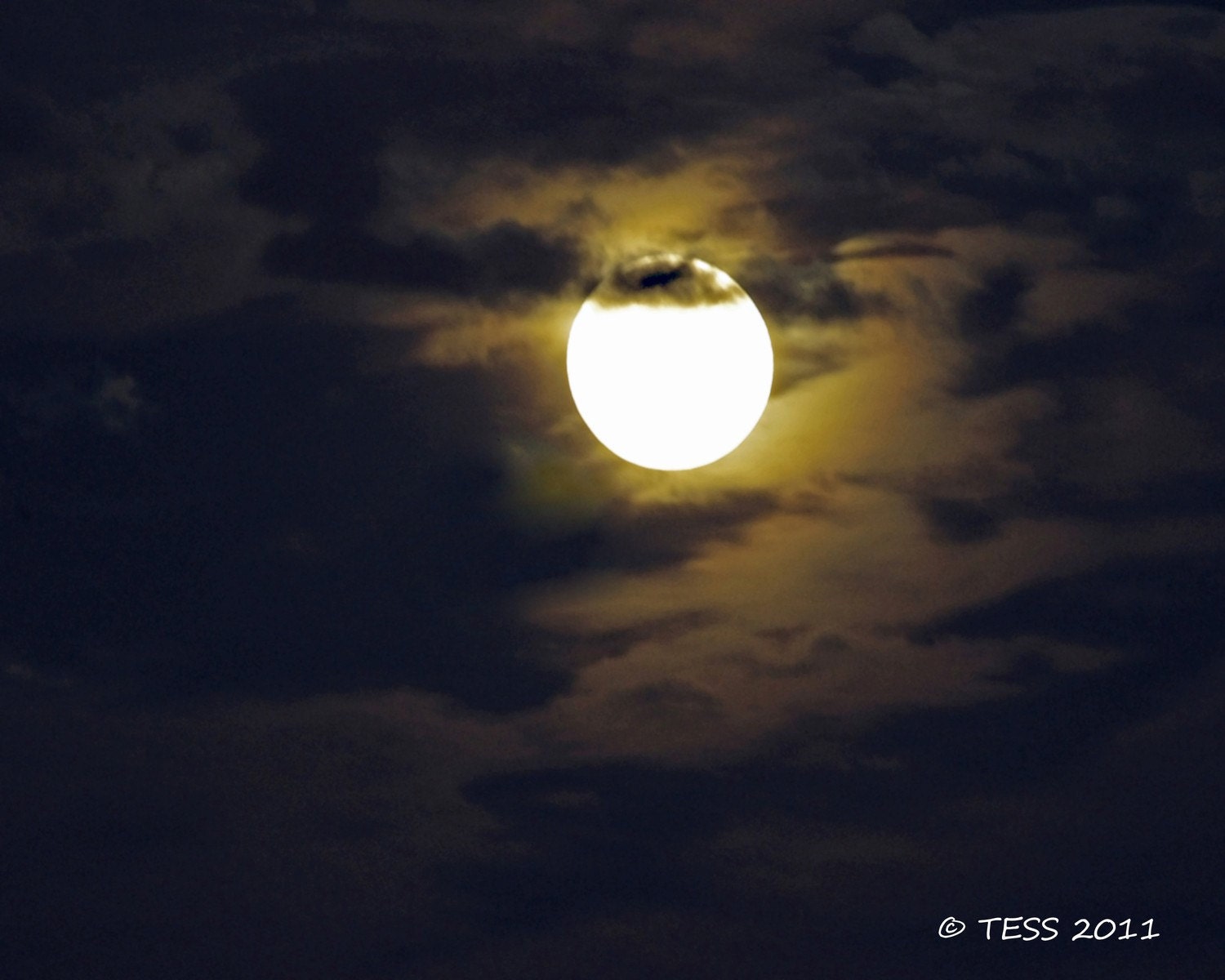 Moon Photo - Blame It On The Moon- 8 x 10 Matted Photography  - Ready to Frame - Nature