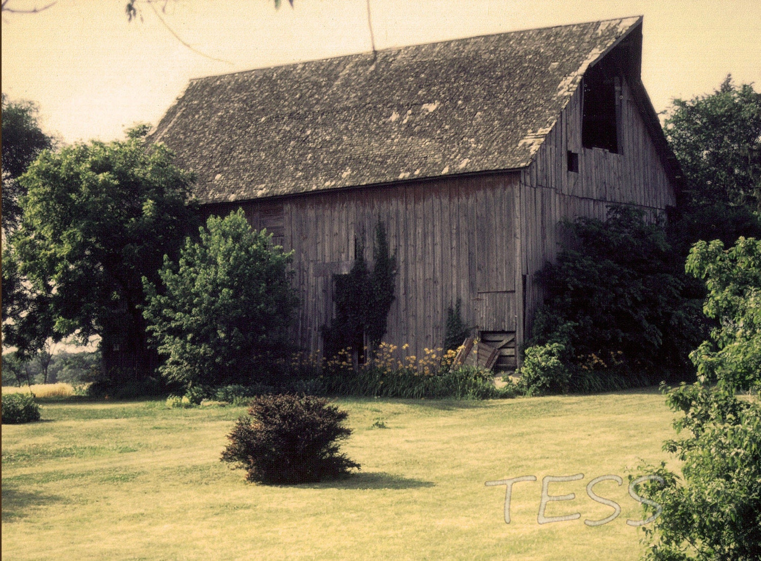 Iowa Barn Photo - 8 x 10 Photography - Landscape Photography