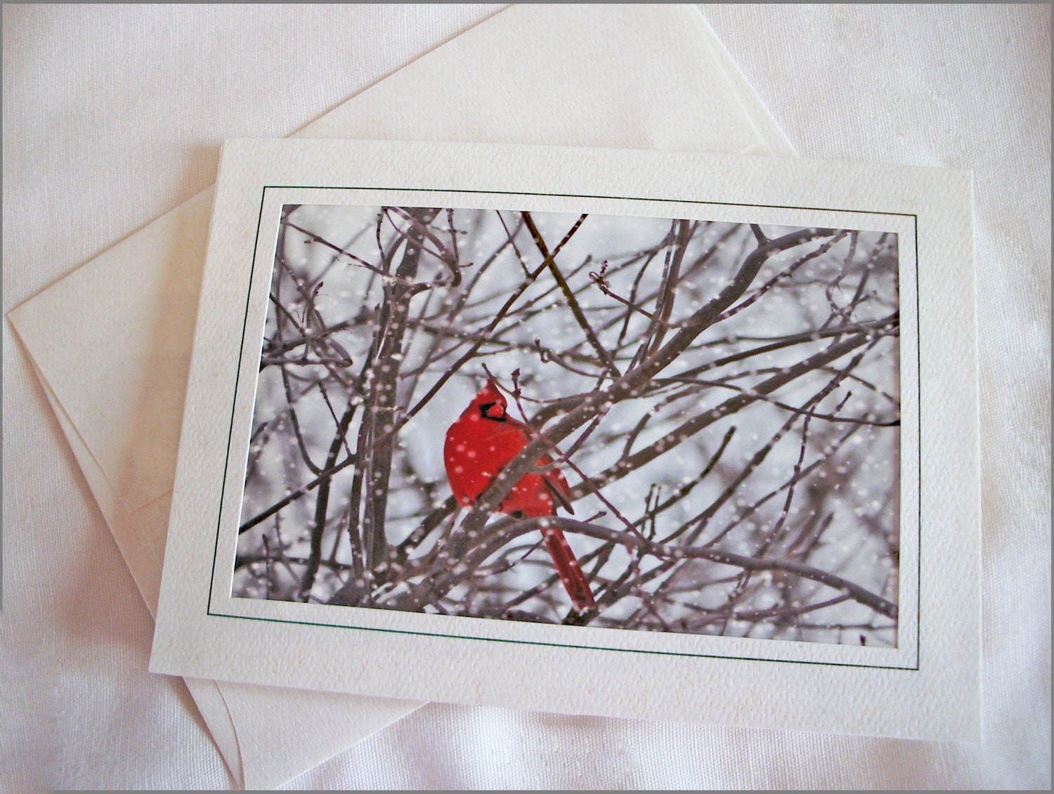 Cardinal Greeting Card - One Card -  Winter - Snow -  Holiday Card - 5 x 7 Photo Frame - Nature