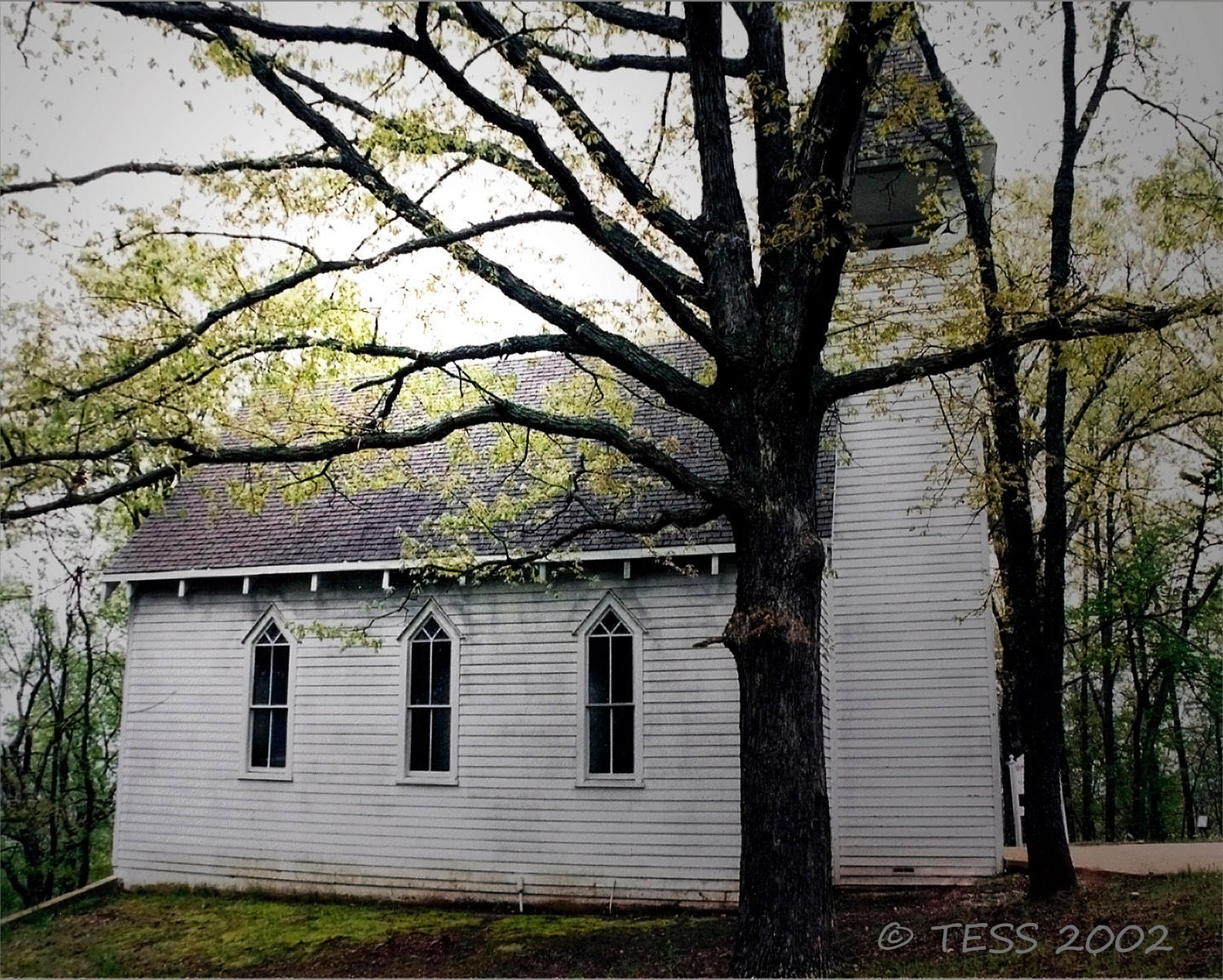 Country Chapel Photo - Church Photography - 8 x 10 Photographic Print - Landscape