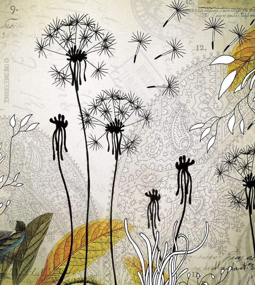 Little Dandelions - Giclee Print, 12x12