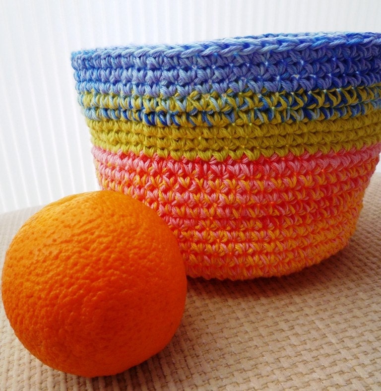 Bowl Basket Plant Holder Organizer