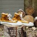 Butternut Knit Chucks