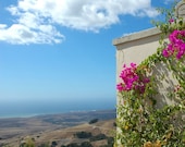 Bougainvillea-Coastal View-Central California Coast-Fine Art Photography-Wall Art-Home Decor-8X10