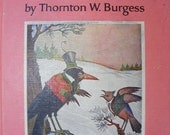 Vintage Childrens Book 40s The Adventures of Sammy Jay Whimsical Thornton W Burgess