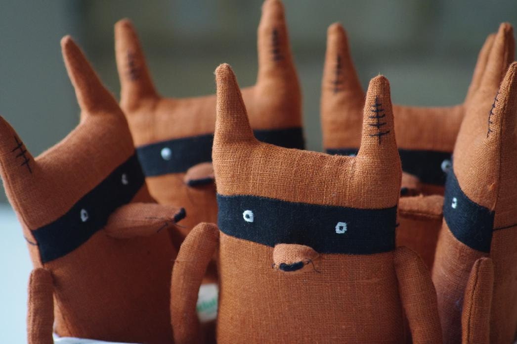 Bandit fox :)