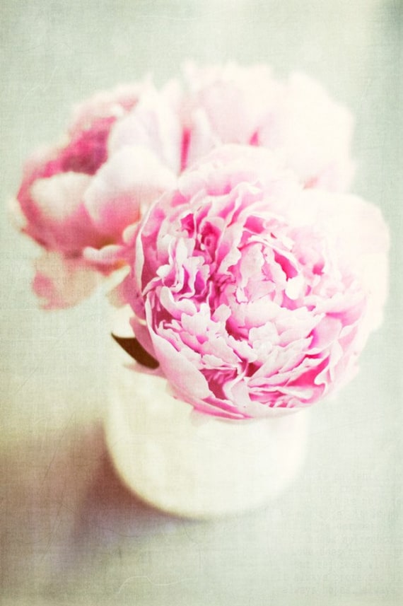 her finest tutu, 5x7 fine art photo print