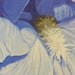 Clearance Sale- 40% off- Purple Majesty- Original Acrylic Flower Painting