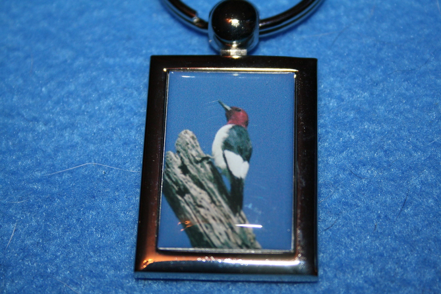 Woodpecker Bird  Keychain Rectangle Photo Key Chain