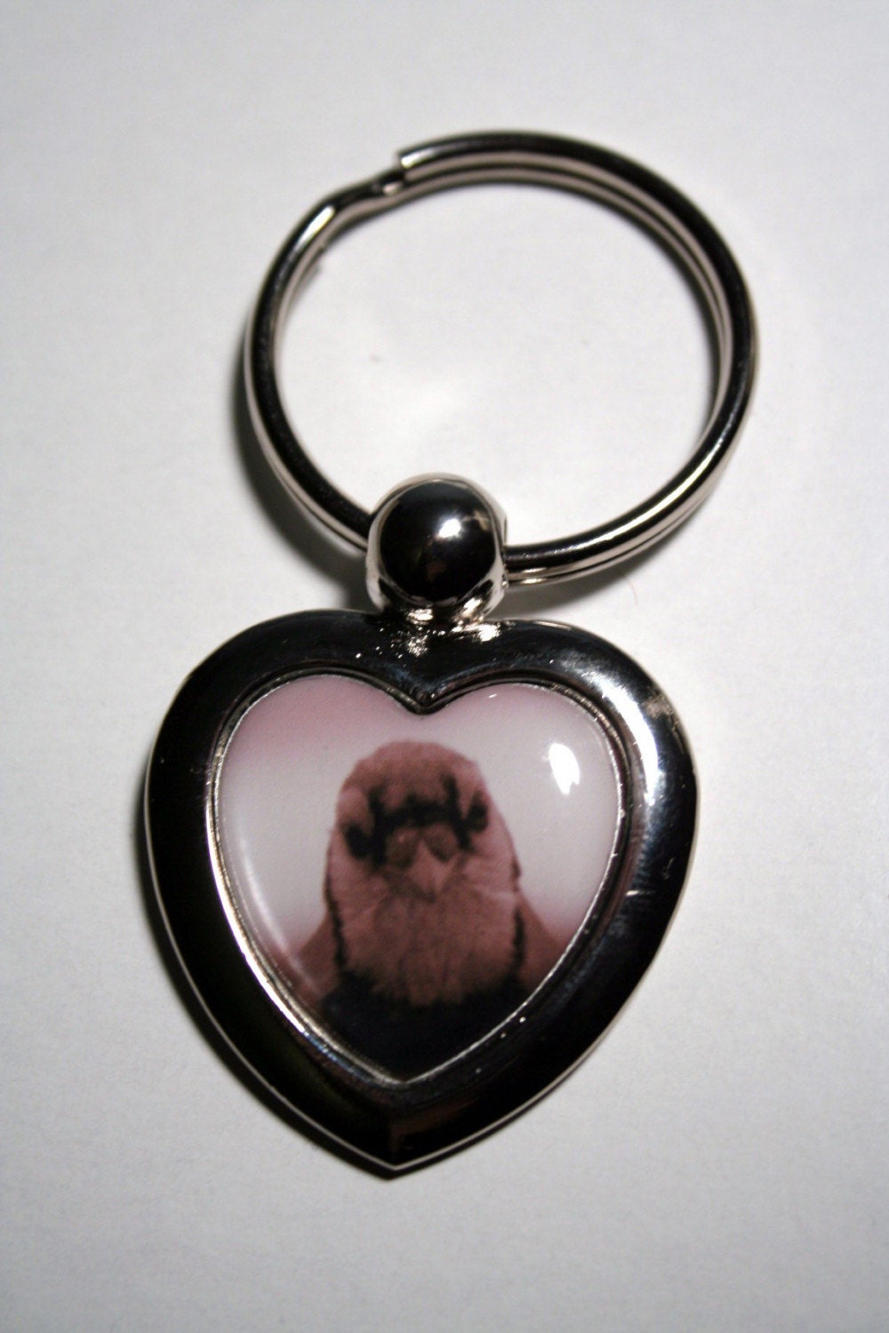 Key Chain Sepia Bluejay Heart Photo Key Chain
