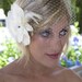 Birdcage Veil with Fascinator