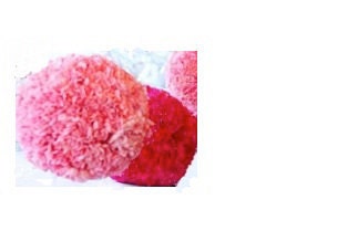 Carnation Kissing Ball