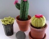 Kill Proof Crochet Succulent Plant
