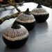 Black and White Ceramic Sprout Pod Trio