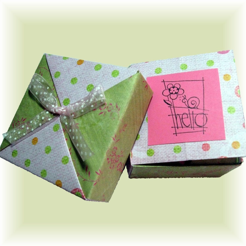 Pink and Lime Green -Mini Scrapbook in a Box-with accordian photo booklet and Tea Packets