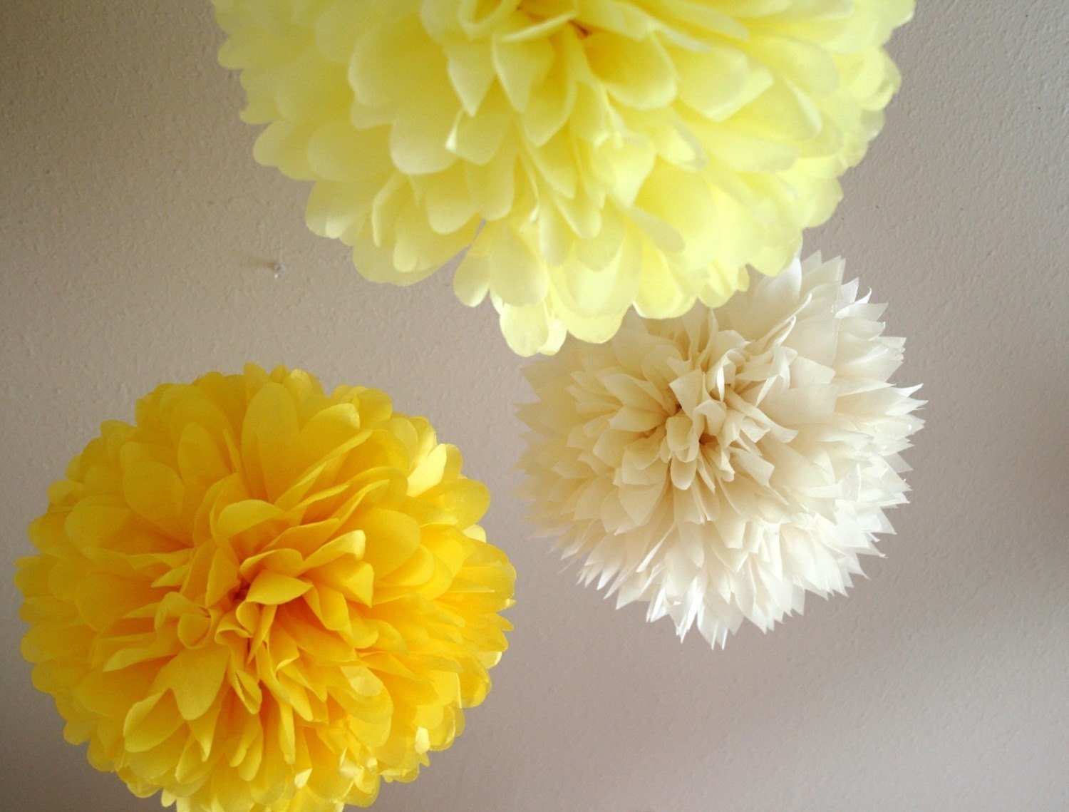 Daisy .. set of 3 tissue pom poms for weddings and birthdays