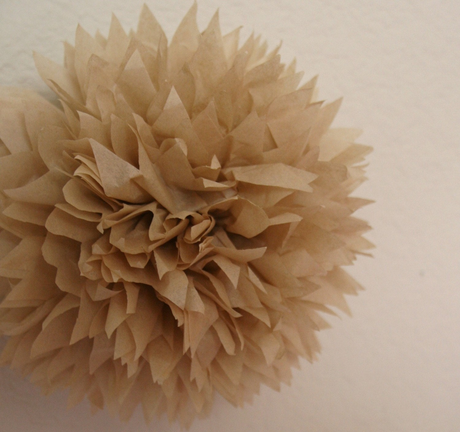 Tan - one pom