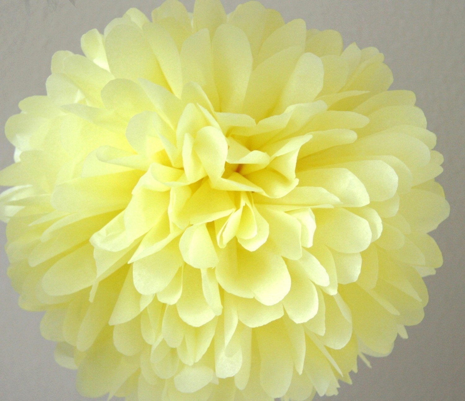 Yellow - one pom